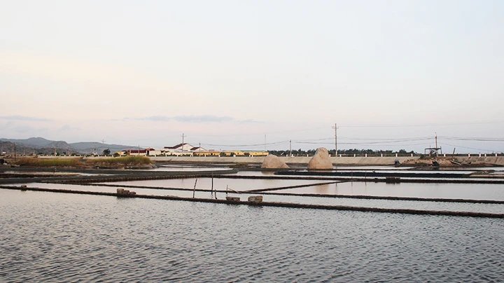 午後の塩田で