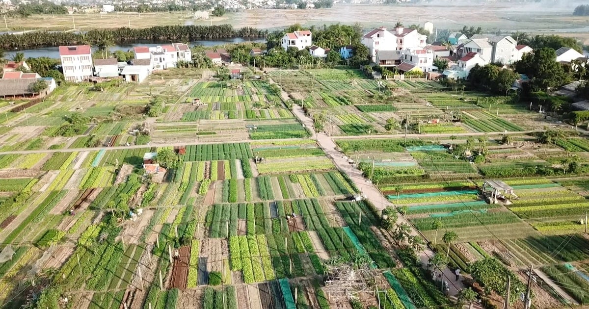 Hội nghị quốc tế lần thứ I về du lịch nông thôn tại làng rau Trà Quế