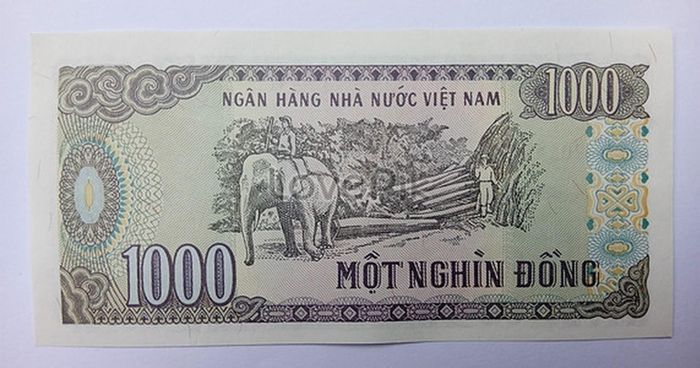 Interessante, wenig bekannte Fakten über die vietnamesische Währung