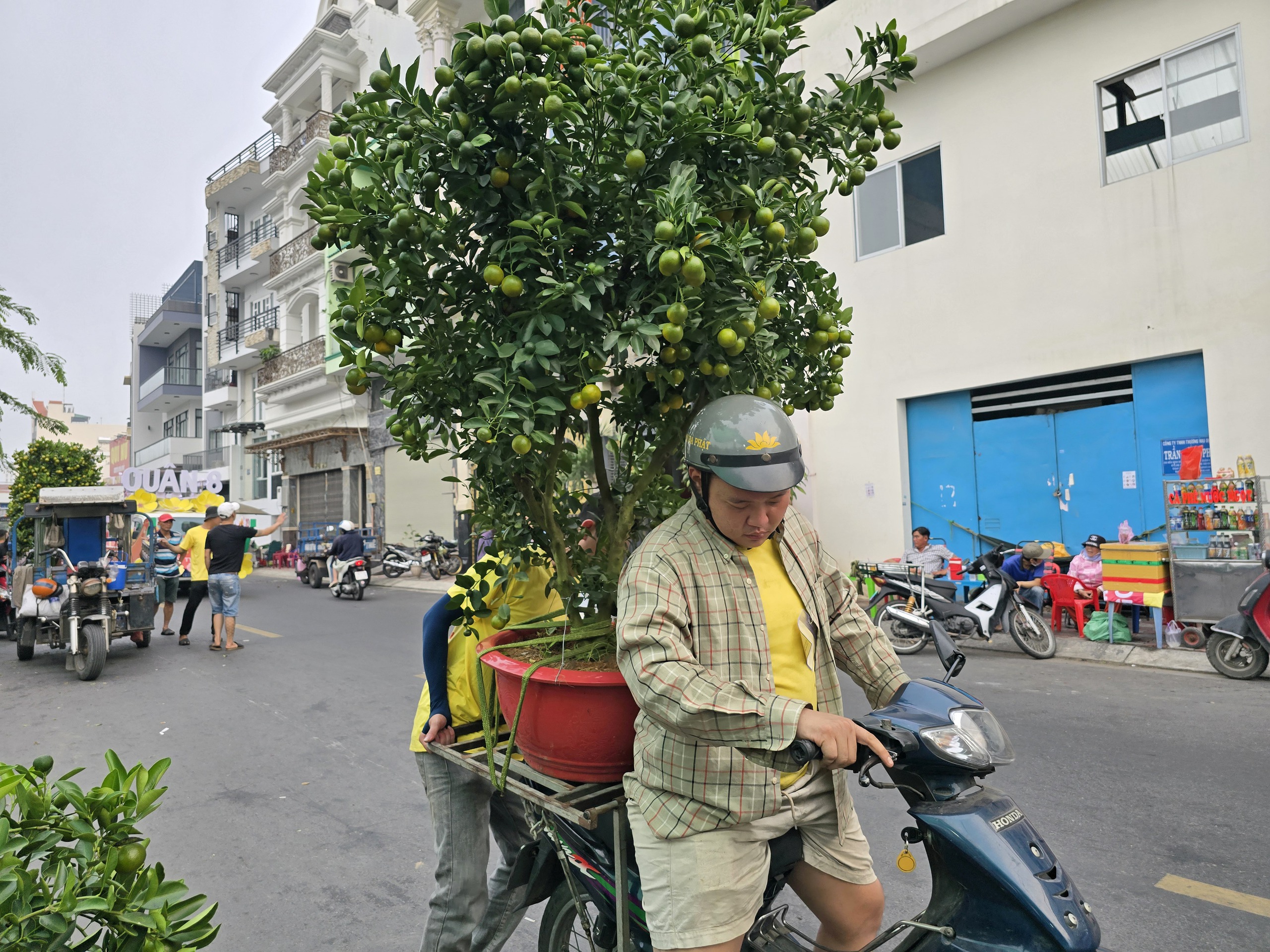 TP HCM: Khai mạc chợ hoa xuân 