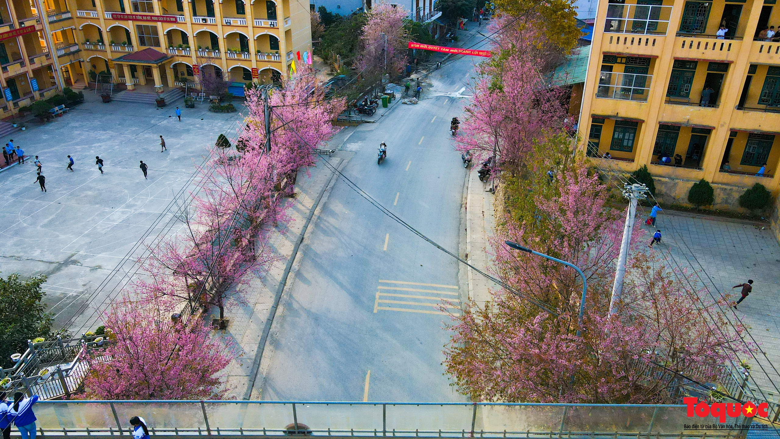 Las flores gruesas tiñen de rosa la aldea de Mu Cang Chai - Foto 8.