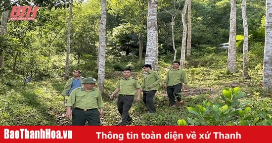 Quản lý, bảo vệ rừng bền vững ở Thường Xuân