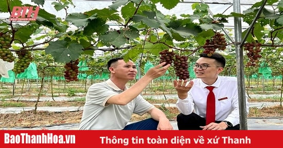 Những “cánh tay nối dài” giúp hội viên tiếp cận các dịch vụ vốn vay ngân hàng