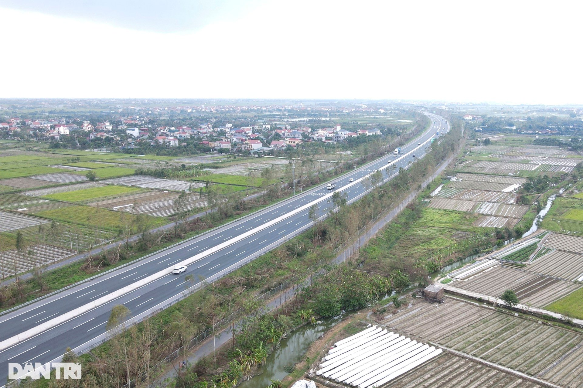 41.000 cây xanh dọc tuyến cao tốc Hà Nội - Hải Phòng gãy đổ do bão Yagi - 9