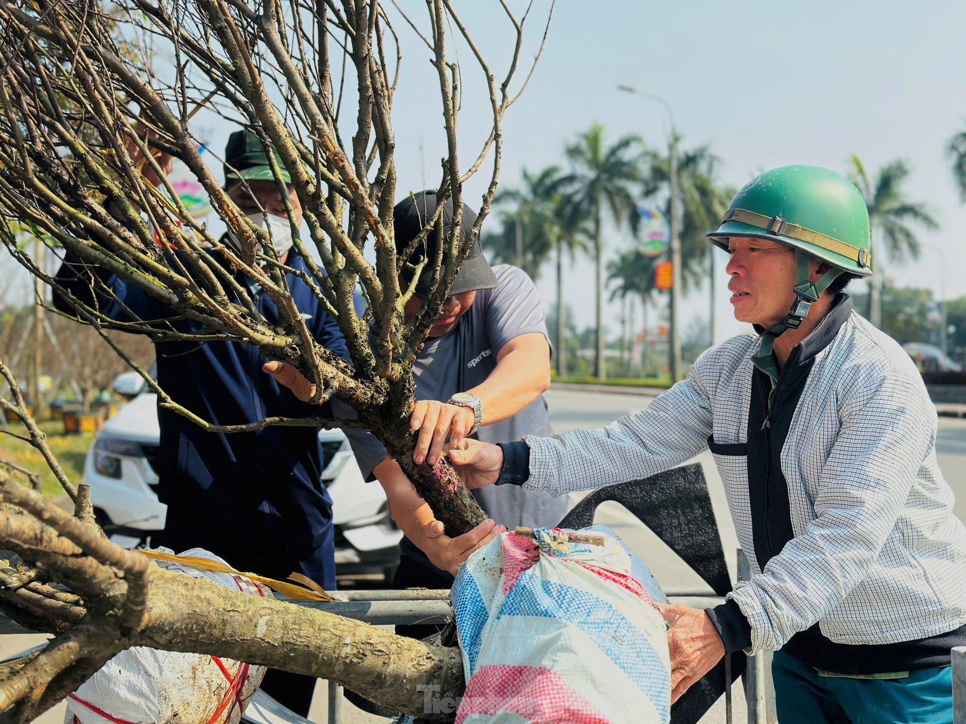 The profession of 'carrying Tet' to every home makes millions every day photo 2