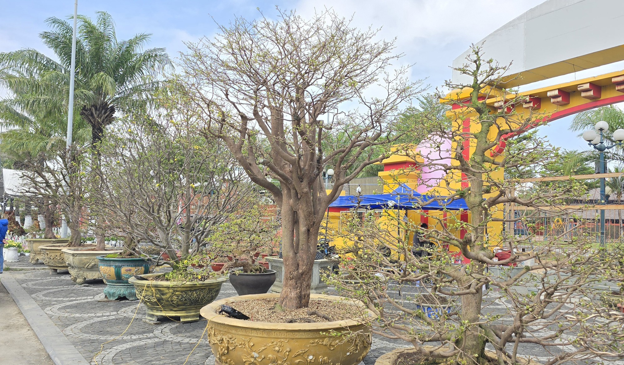 Những 