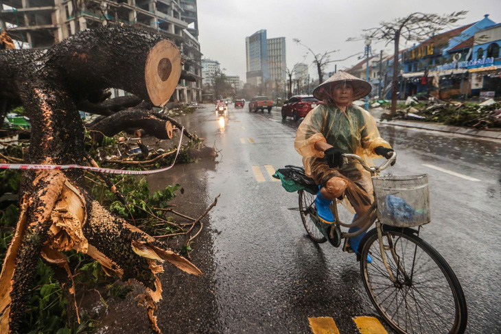 Không nhận ra khu du lịch Bãi Cháy sau bão số 3 - Ảnh 3.