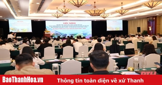 Thúc đẩy quan hệ hợp tác giữa TP Hồ Chí Minh và 9 tỉnh phía Bắc, Bắc Trung Bộ