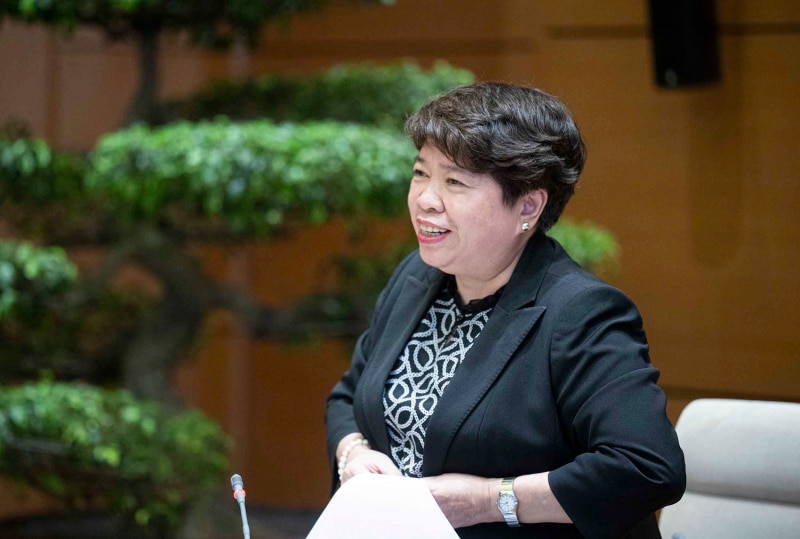 外交委員会のヴー・ハイ・ハ委員長が、APF-1執行委員会会議の組織を展開するための会議を主宰した。