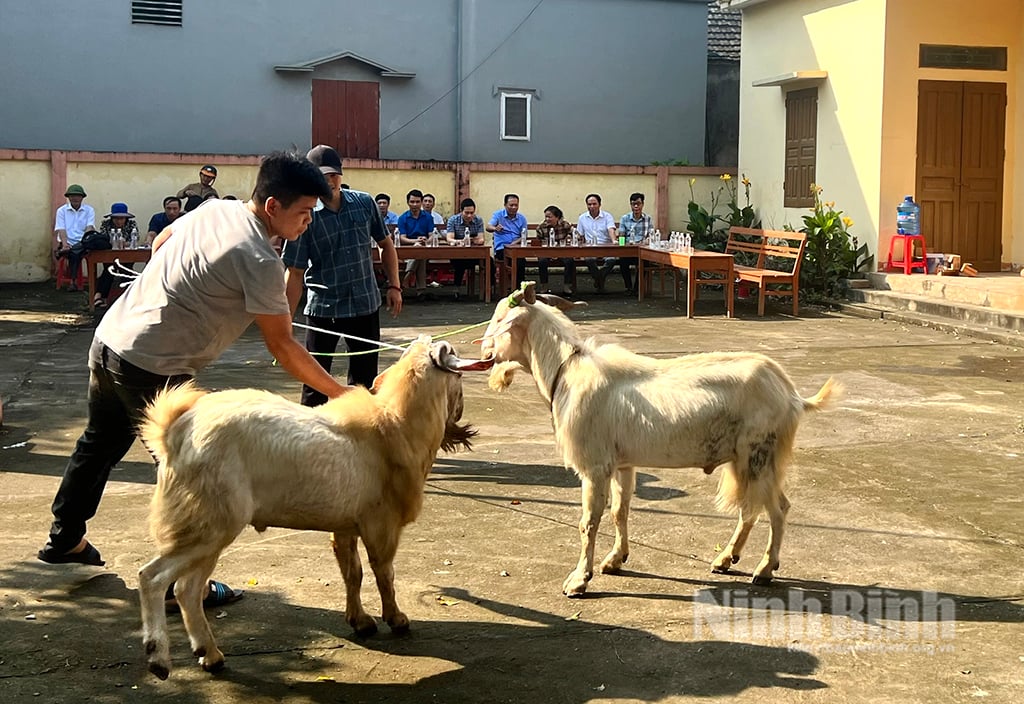 Hội Nông dân tỉnh khảo sát công tác chuẩn bị tổ chức Hội chọi dê