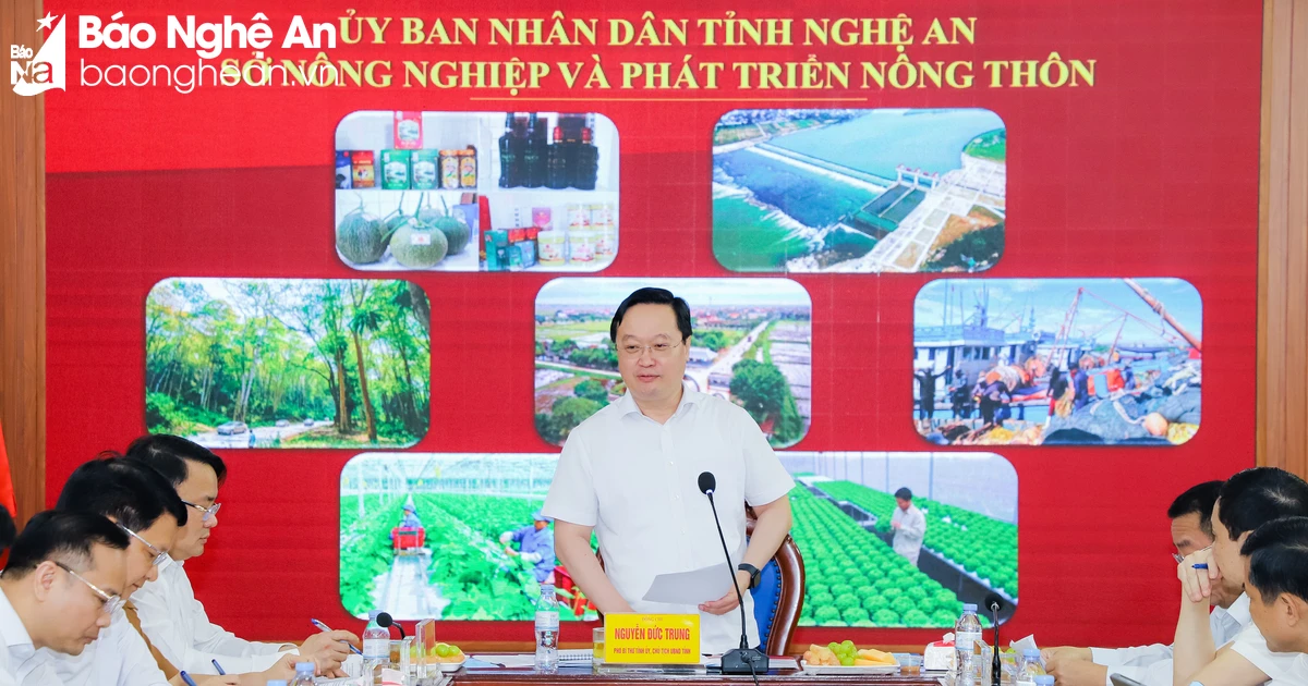 Chairman of Nghe An Provincial People's Committee Nguyen Duc Trung works with the Department of Agriculture and Rural Development