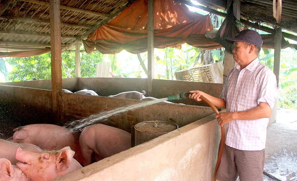 Cựu chiến binh Phù Ninh giúp nhau giảm nghèo