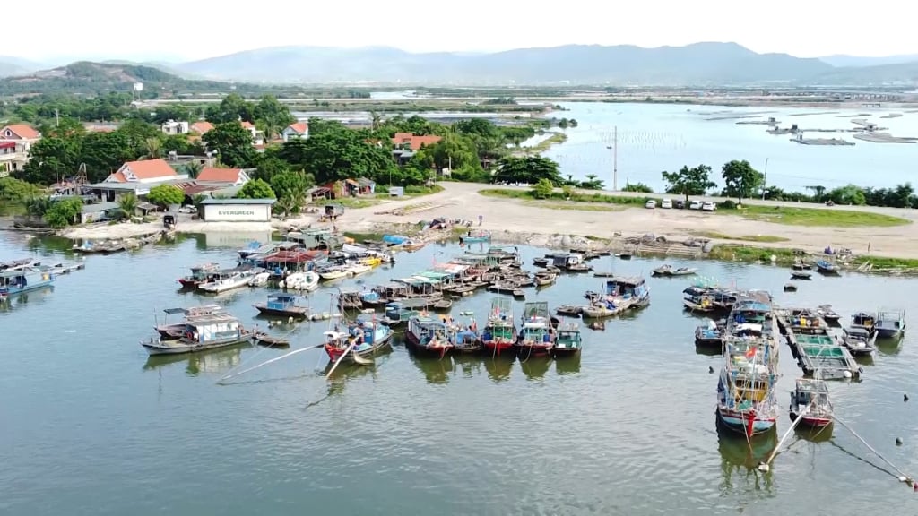 La ville de Quang Yen compte un total de 1 097 bateaux de pêche sous l'autorité de gestion locale.