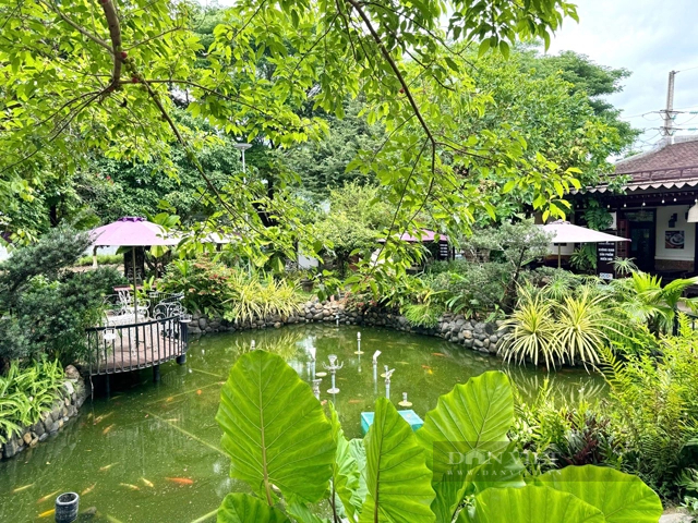 Viewing a multi-million dollar coffee shop in the center of Quang Ngai province - Photo 8.