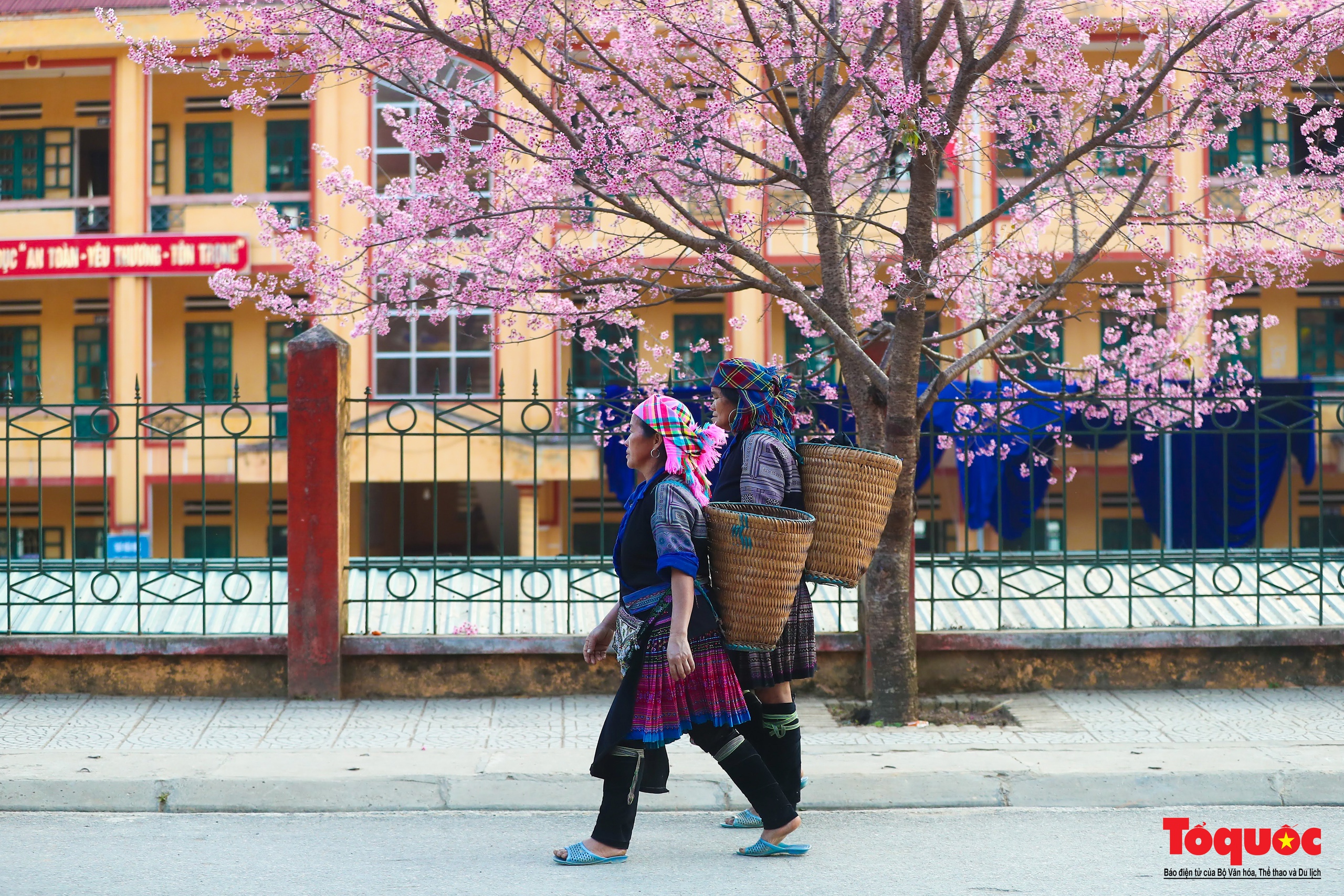 Las flores gruesas tiñen de rosa la aldea de Mu Cang Chai - Foto 9.