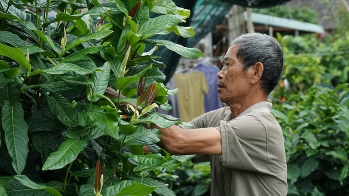 Hải Phòng quản lý nông nghiệp bằng bản đồ số