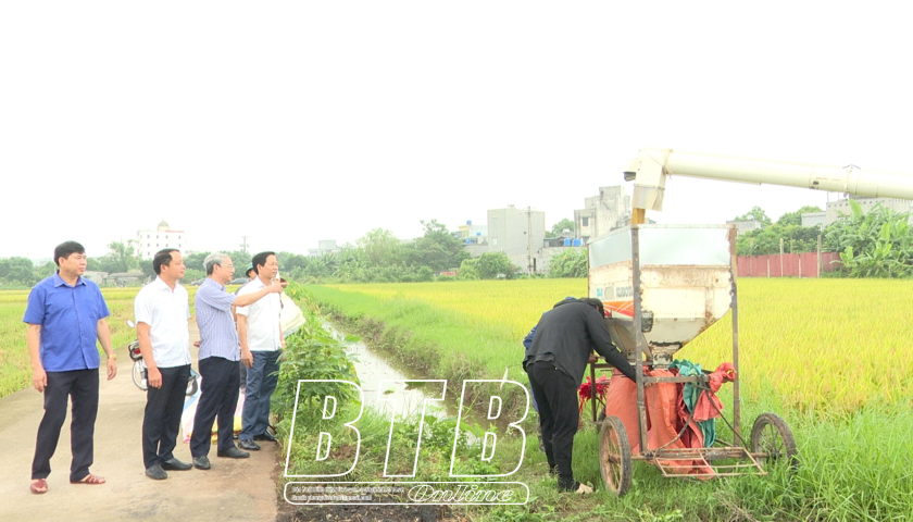 Vérification de l'avancement de la récolte du riz de printemps dans le district de Kien Xuong