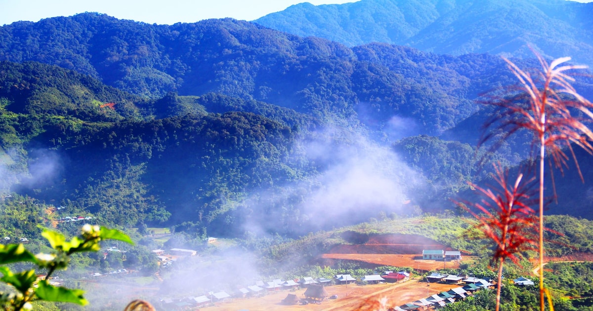 Pasar a través de la niebla blanca