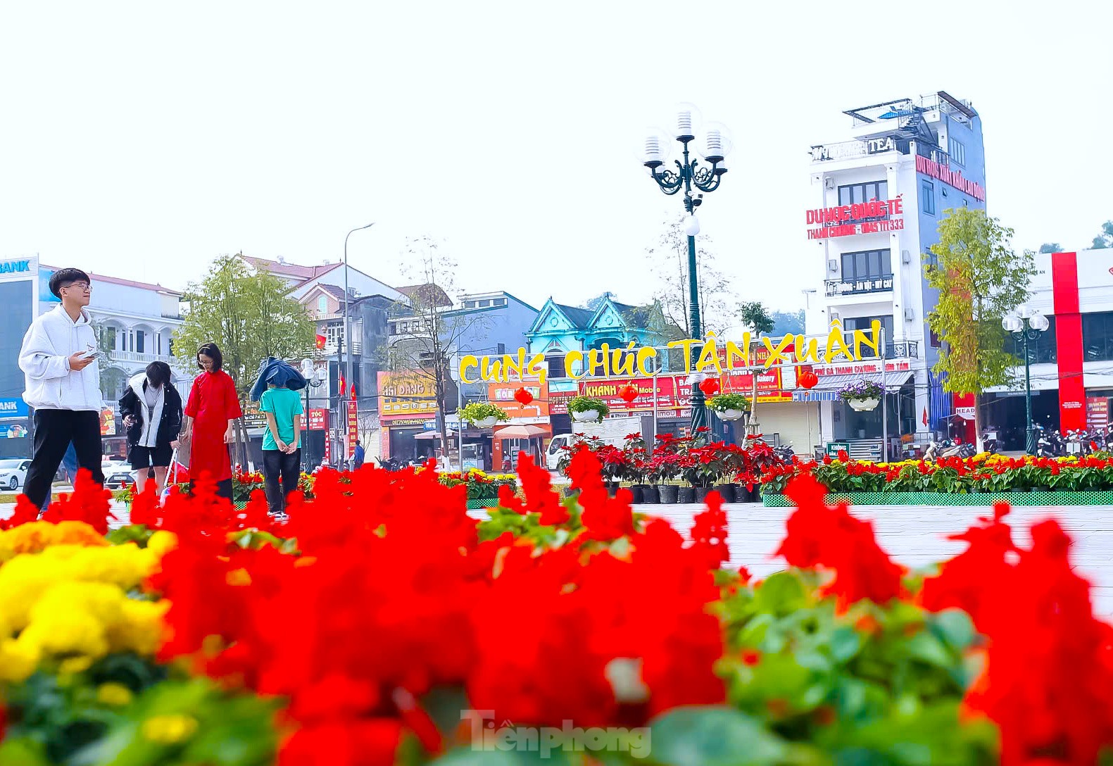 Điểm 'check-in' linh vật rắn đáng yêu ở Nghệ An ảnh 6