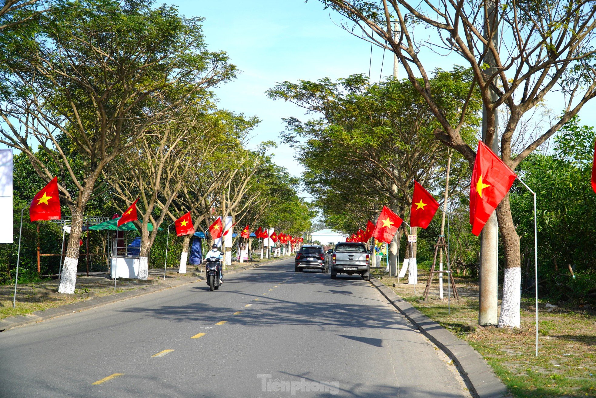 Los residentes de Da Nang contribuyen con dinero para hacer coloridas las calles del Tet. Foto 10