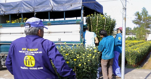 Im größten Blumendorf in Da Nang herrscht am Vorabend des Tet-Festes reges Treiben