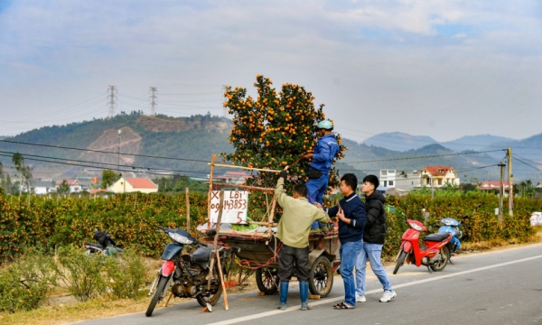 Pueblo de flores en la temporada del Tet