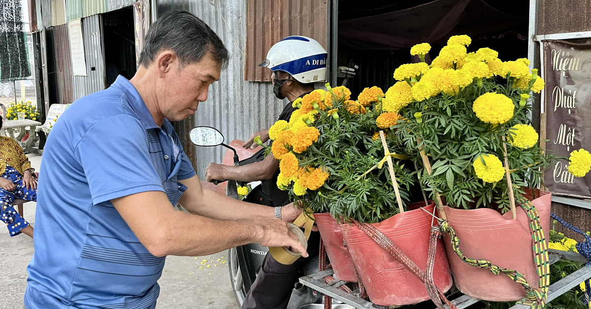 Full Tet in the 'dialysis house' in Vinh Long