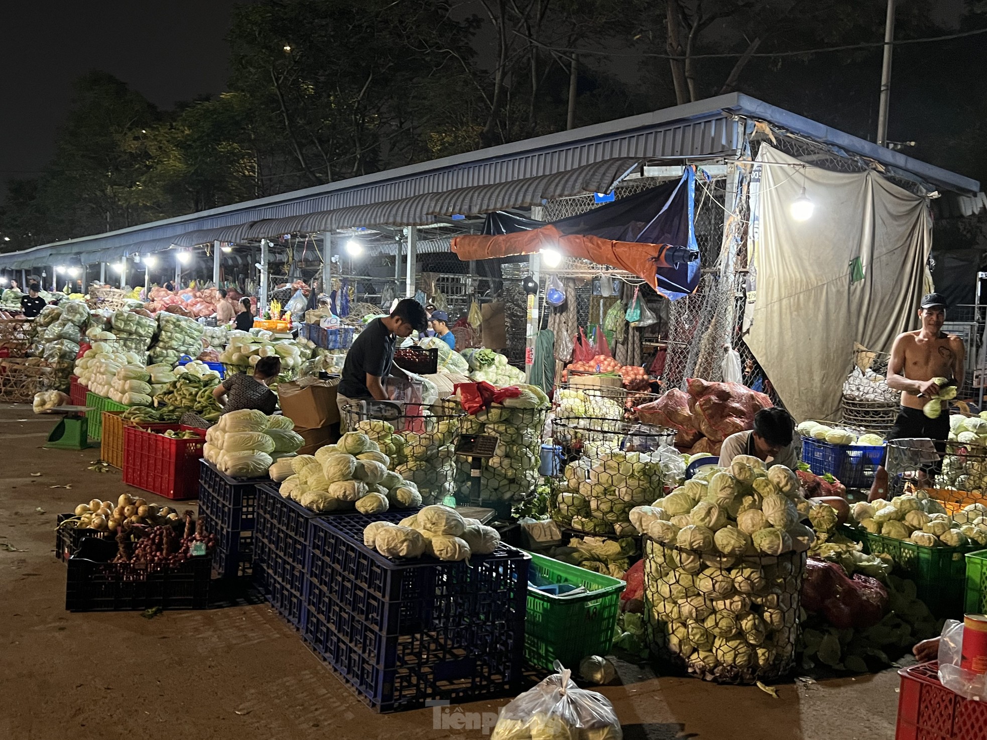 ผลไม้ไหลเข้าตลาดขายส่งในนครโฮจิมินห์ ราคาคงที่ ภาพที่ 1