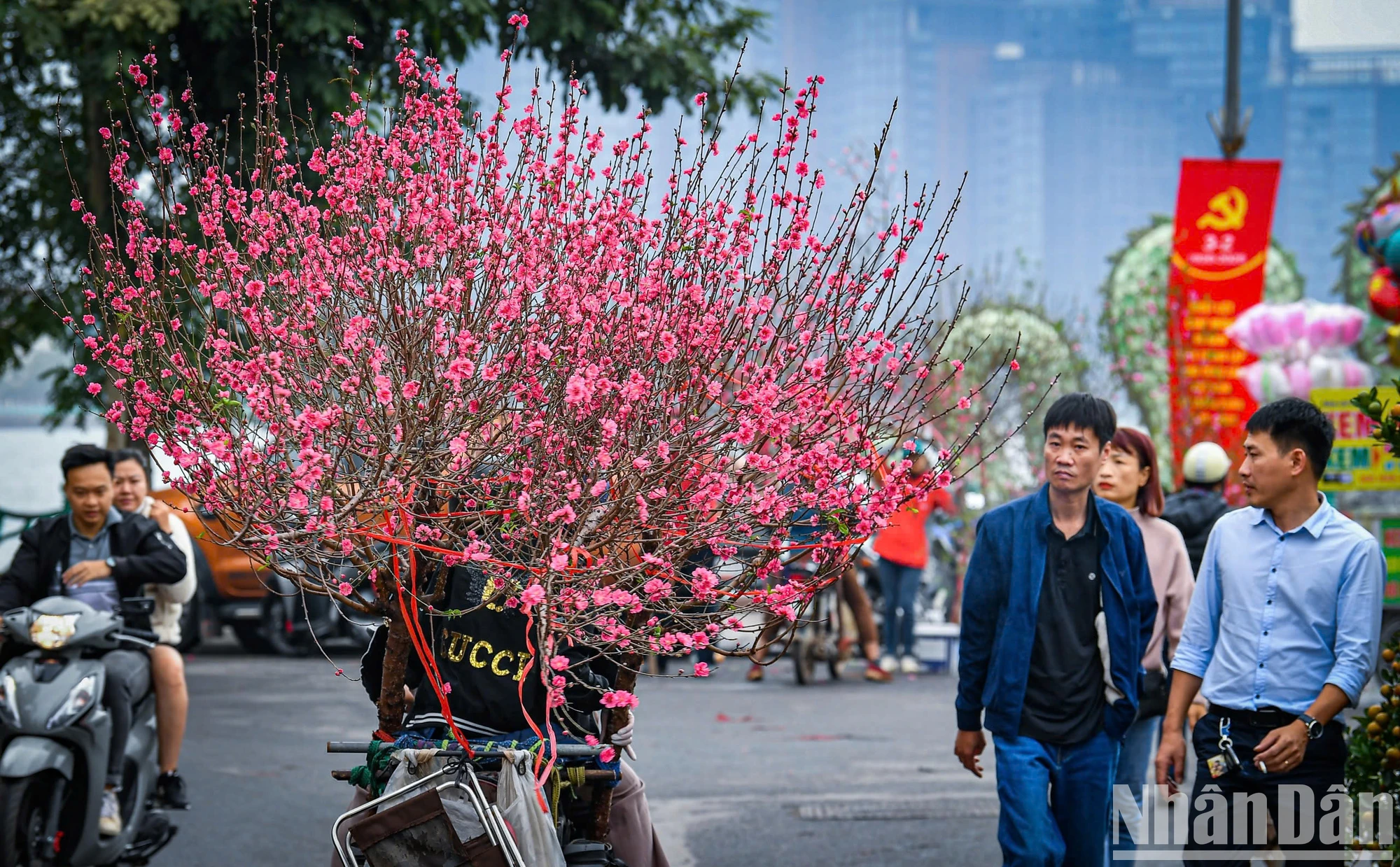 [Ảnh] Chợ hoa xuân Hà Nội nhộn nhịp ngày cận Tết ảnh 14