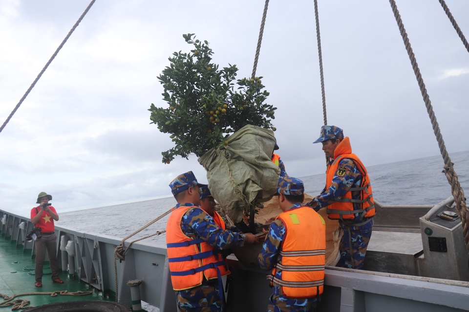 Những chậu quất được chằng, buộc cẩn thận để giữ nguyên vẹn được quả, lá, cành khi lên nhà giàn