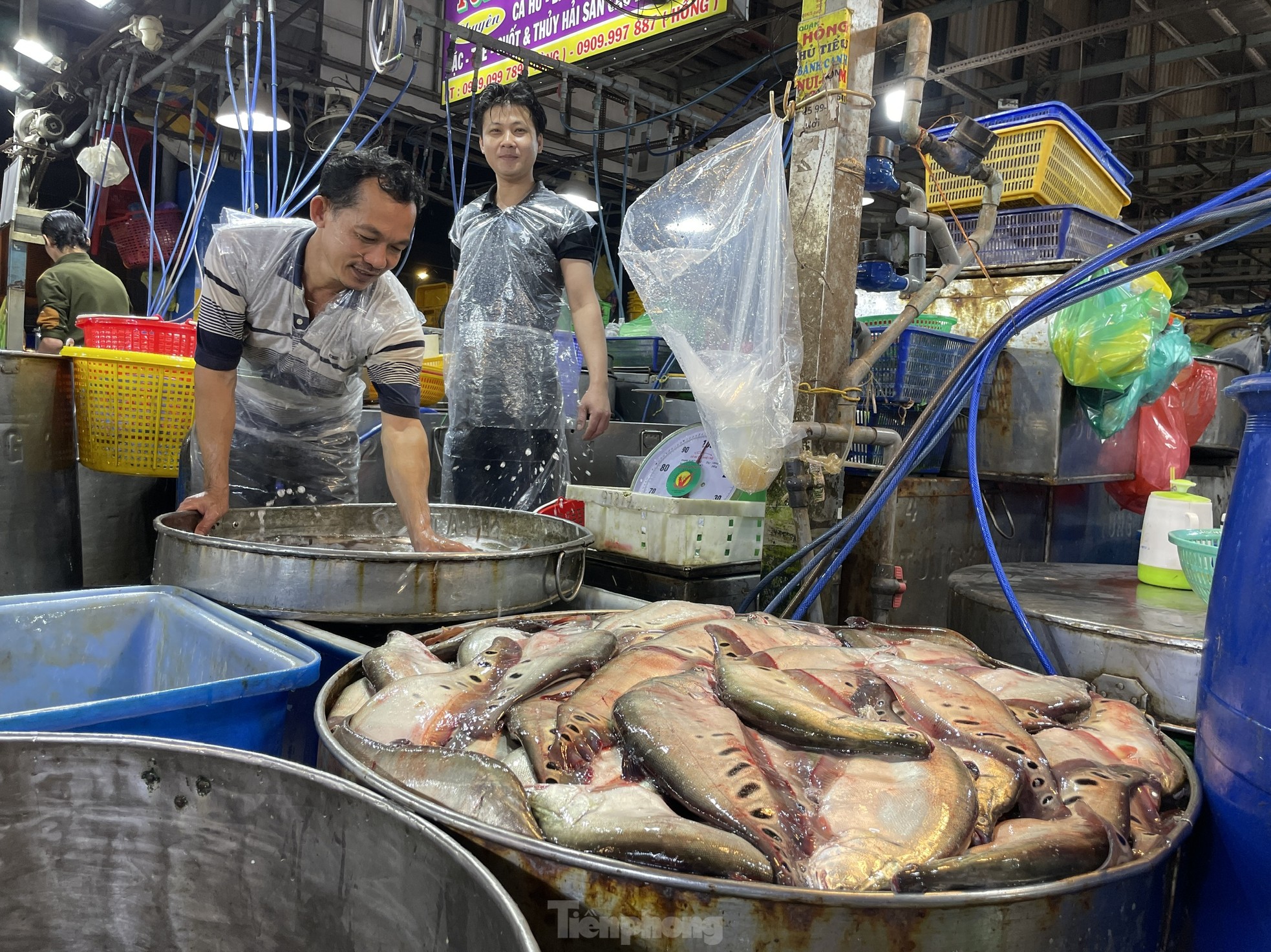 ผลไม้ล้นตลาดค้าส่งในนครโฮจิมินห์ ราคาคงที่ ภาพที่ 14