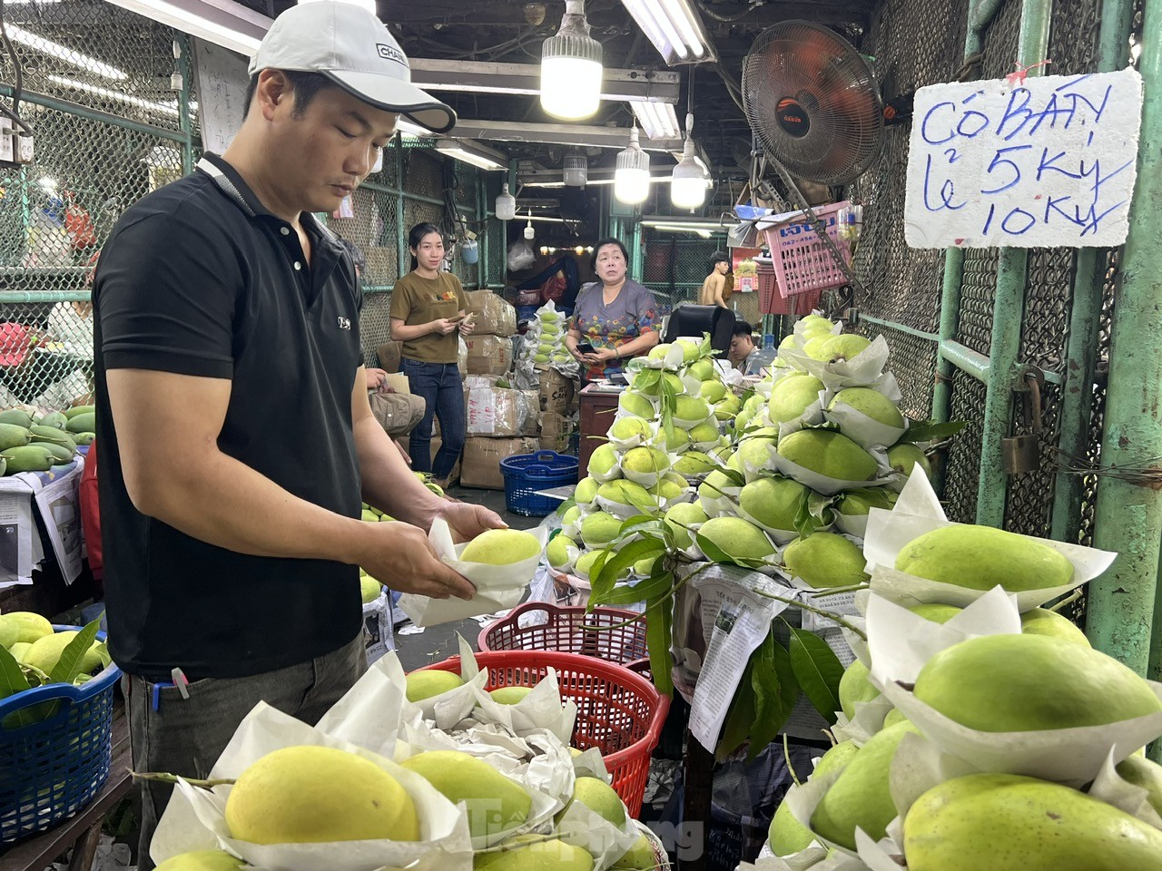 ผลไม้ล้นตลาดค้าส่งในนครโฮจิมินห์ ราคาคงที่ ภาพที่ 5