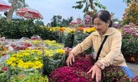 El mercado de flores del Tet, con sus precios bajos, atrae a clientes de bajos ingresos