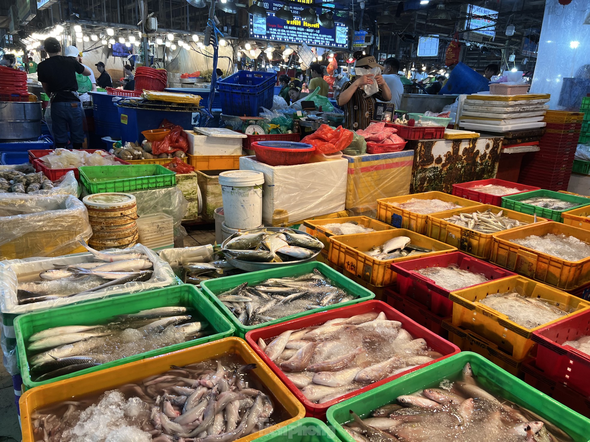 ผลไม้ล้นตลาดค้าส่งในนครโฮจิมินห์ ราคาคงที่ ภาพที่ 11