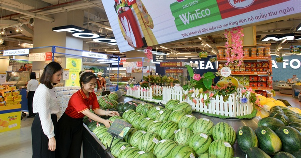 Développement vert des « grands noms » du secteur de la consommation et de la vente au détail