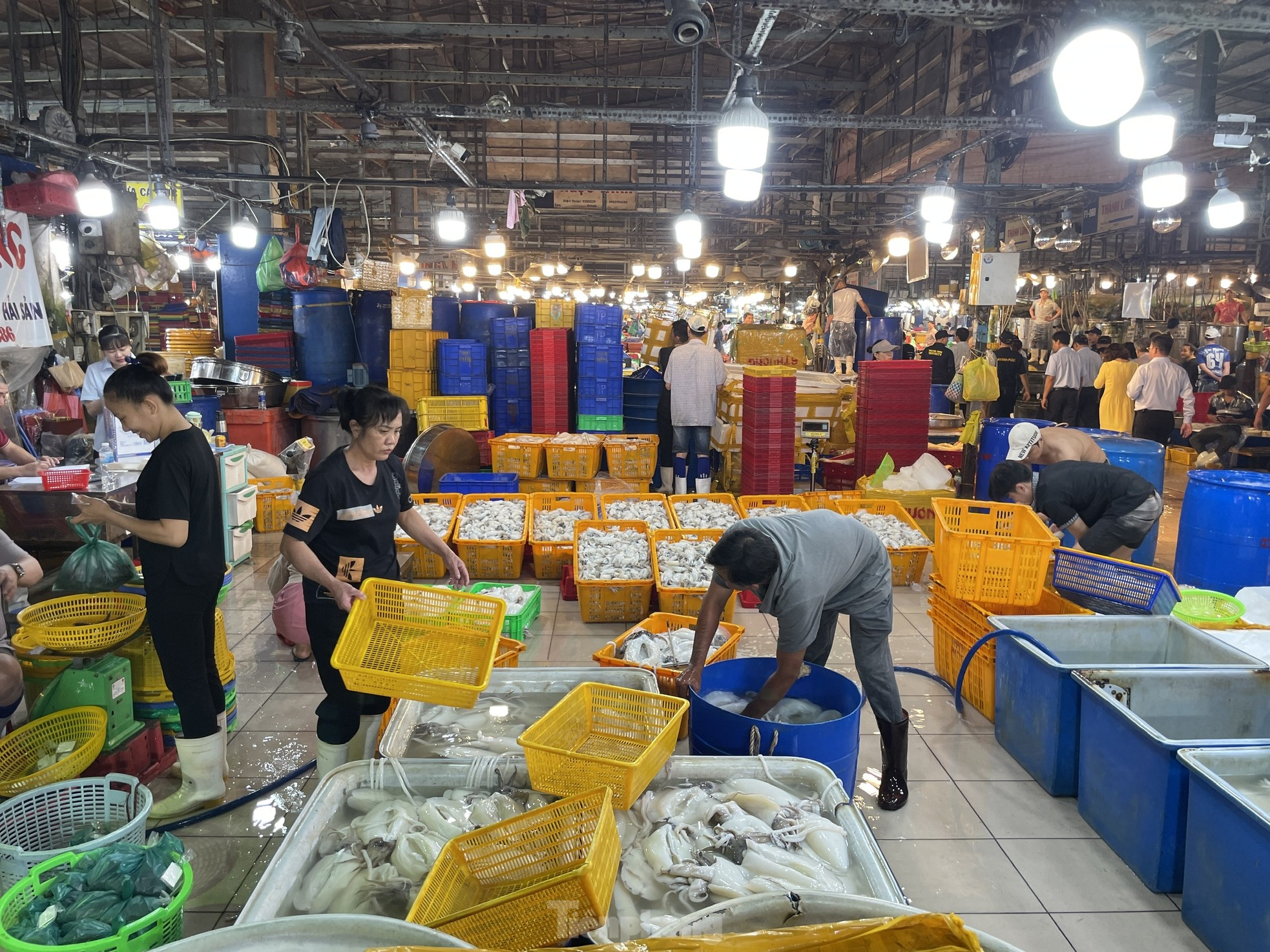 ผลไม้ล้นตลาดค้าส่งในนครโฮจิมินห์ ราคาคงที่ ภาพที่ 12