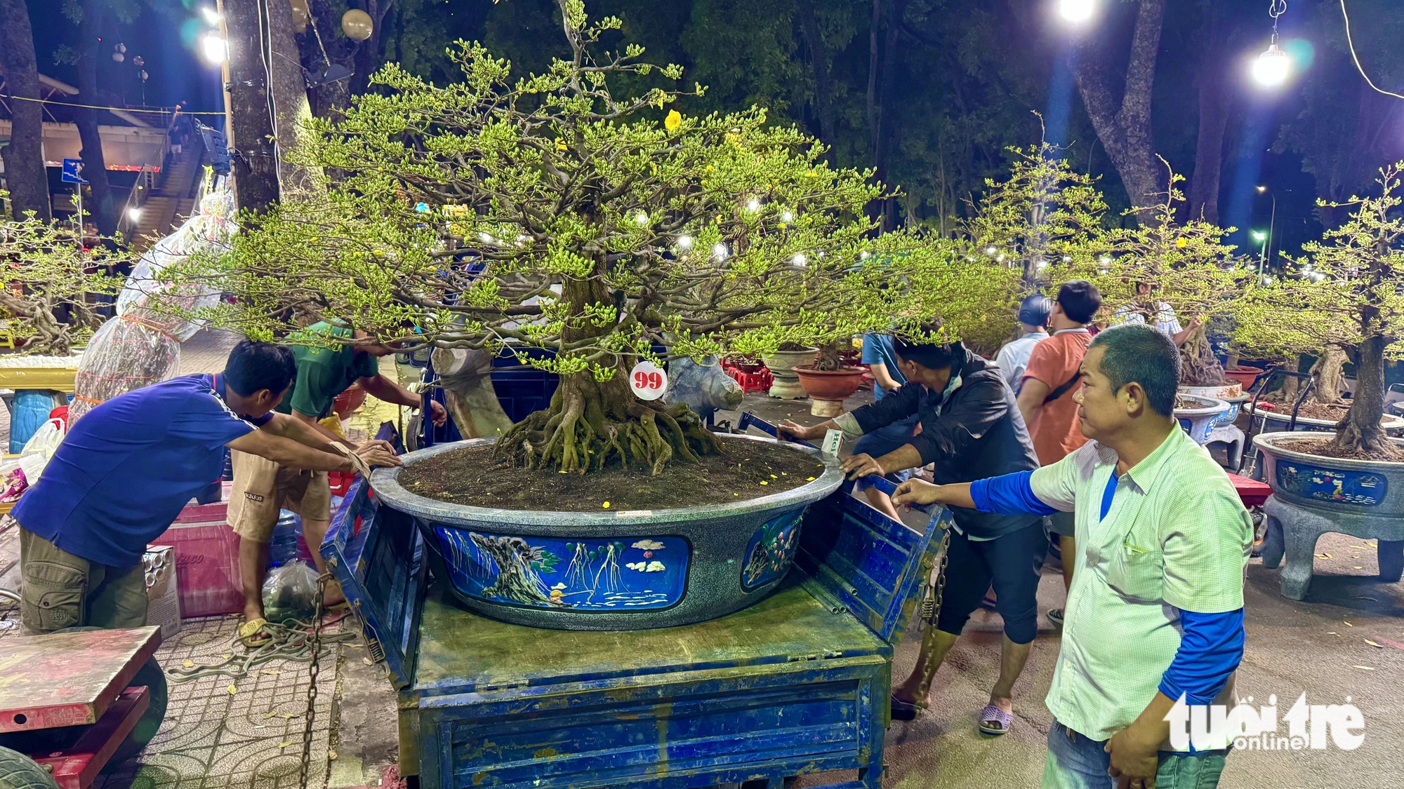 TP.HCM: Khách chi trăm triệu thuê mai kiểng chưng vài ngày Tết, giao ngay trong đêm - Ảnh 1.