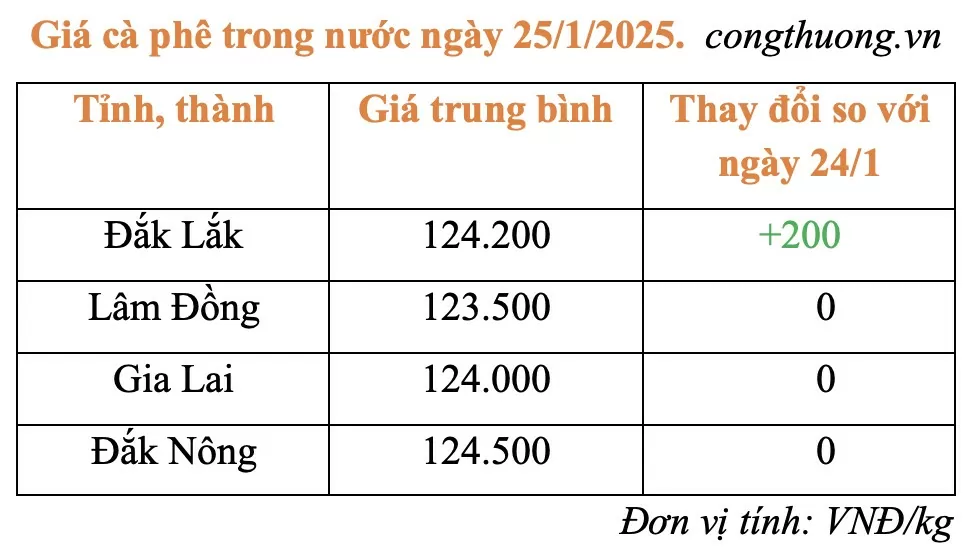 Giá cà phê trong nước hôm nay 25/1/2025 đi ngang