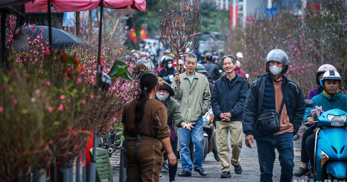 [Foto] Auf dem Frühlingsblumenmarkt in Hanoi herrscht am Vorabend von Tet reges Treiben