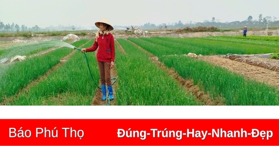 Gia vị trong mâm cỗ Tết