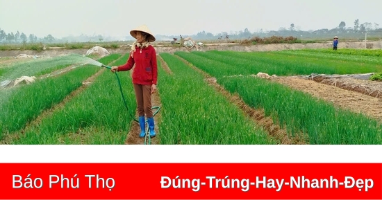 Gia vị trong mâm cỗ Tết