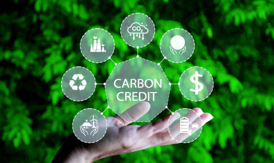 Vietnam develops carbon market according to centralized model.