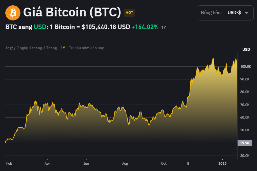 Một năm Bitcoin biến động khó ngờ, người chơi 