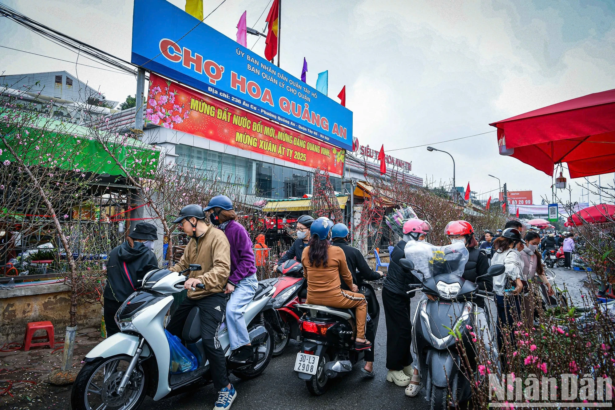 [Ảnh] Chợ hoa xuân Hà Nội nhộn nhịp ngày cận Tết ảnh 3