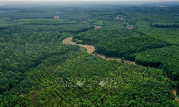 การอนุมัติโครงการจัดตั้งและพัฒนาตลาดคาร์บอนในเวียดนาม