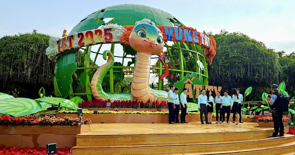 Watch the snake mascots "land" in Vung Tau