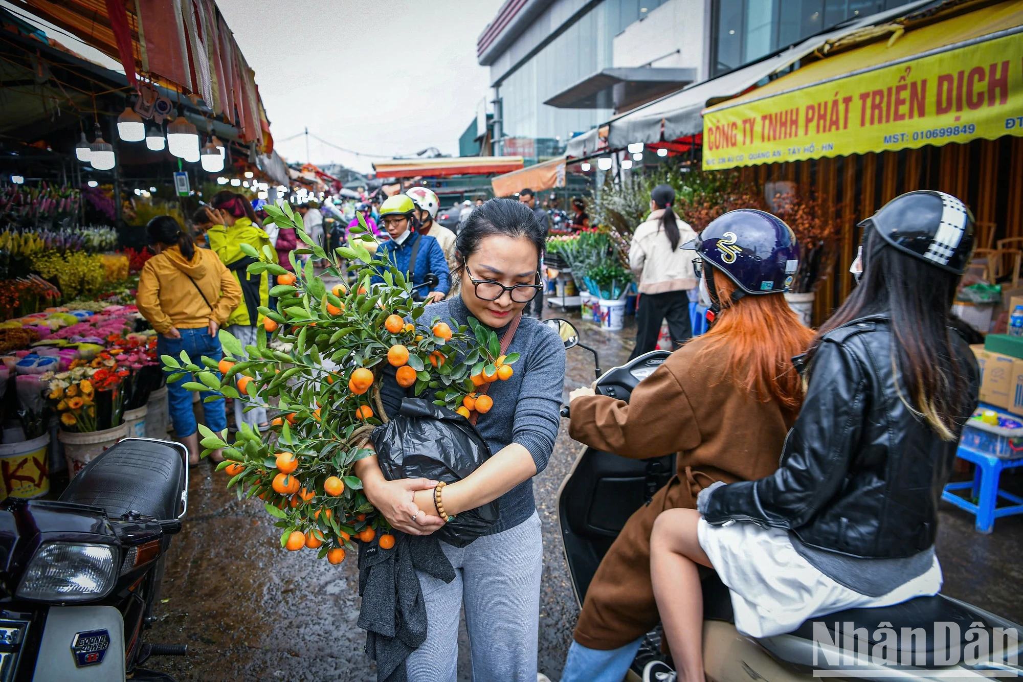 [Ảnh] Chợ hoa xuân Hà Nội nhộn nhịp ngày cận Tết ảnh 7