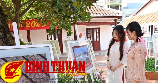 Xuan Thanh Binh 사진전