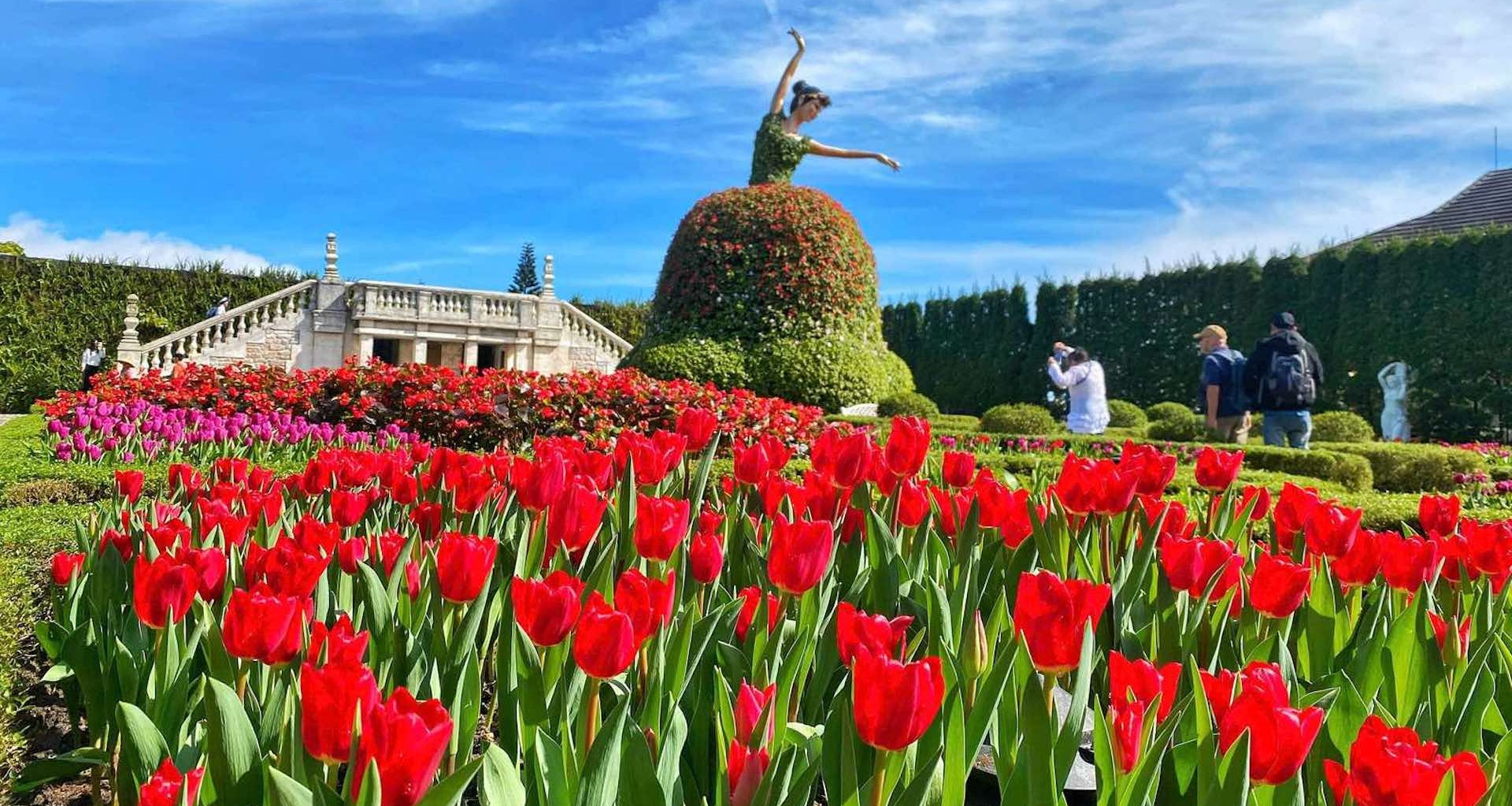 Sun World Ba Na Hills sammelt anlässlich des Tet At Ty fast 400.000 Tulpen