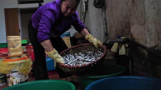 Lap Thach fermentierter Fisch auf Tet-Tablett